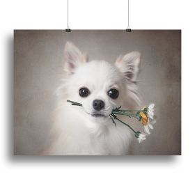 Chihuahua with flowers Canvas Print or Poster (Type: Standard Framed Canvas Print, size: 32" x 24" / 80cm x 60cm approx)